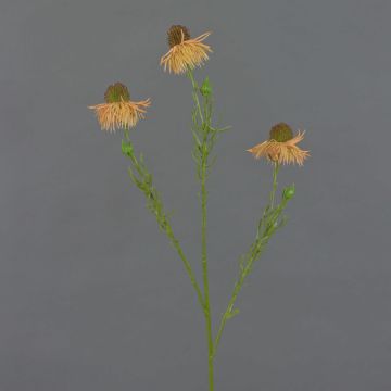Künstlicher Sonnenhut Zweig CELIO, aprikose, 70cm, Ø6-7cm