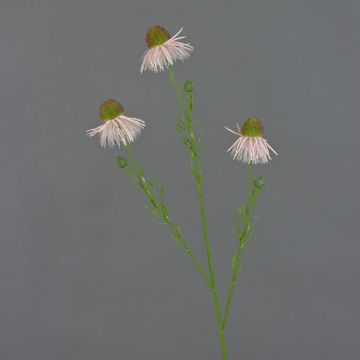 Künstlicher Sonnenhut Zweig CELIO, rosa, 70cm, Ø6-7cm