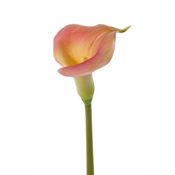 Künstliche Calla MIRAC, rosa-gelb, 75cm, 13x15cm