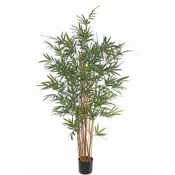 Künstlicher Bambus LUCINE, Echtstämme, crossdoor, 170cm