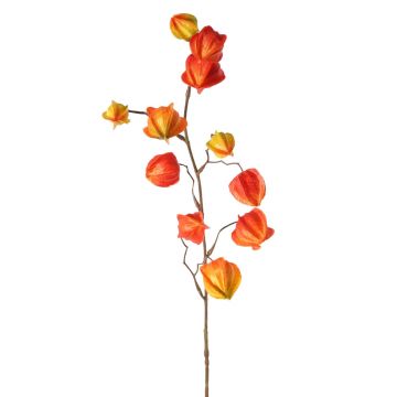 Künstlicher Physalis Zweig PERSEI mit Früchten, orange, 80cm