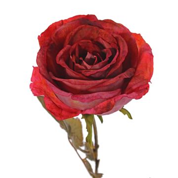 Künstliche Rose NAJMA, rot, 65cm, Ø11cm