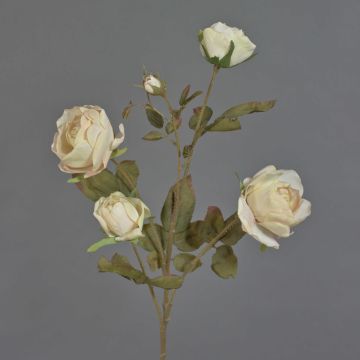 Künstlicher Rosen Zweig SITARA, Trockenoptik, creme-rosa, 75cm, Ø5-8cm
