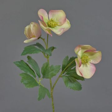 Künstliche Christrose AKRAB, grün-pink, 45cm, Ø5-8cm