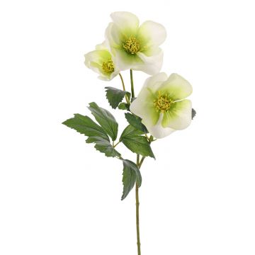 Künstliche Christrose AKRAB, grün-weiß, 45cm, Ø5-8cm