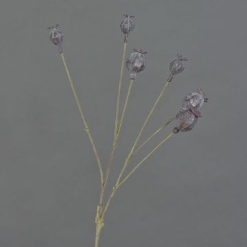 Mohnkapseln Zweig künstlich ASUMAN, dunkelbraun, 70cm, Ø2-3cm