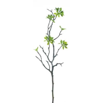 Deko Blattzweig Magnolie SEMBANA, grün, 75cm