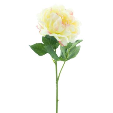 Dekoblume Pfingstrose CORDOBA, hellgelb-rosa, 60cm, Ø16cm