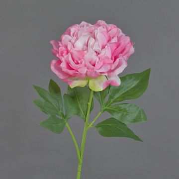 Dekoblume Pfingstrose CORDOBA, rosa, 60cm, Ø16cm