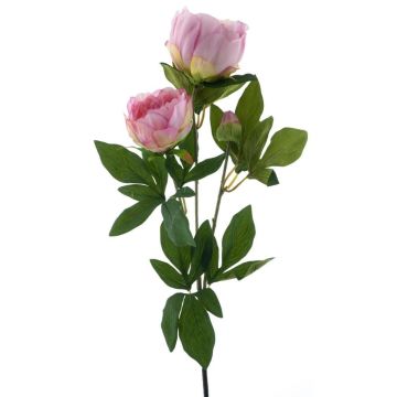 Deko Pfingstrose Zweig THEMIA, rosa, 65cm
