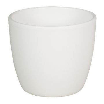 Keramiktopf für Pflanzen klein TEHERAN BASAR, weiß-matt, 9,8cm, Ø12cm