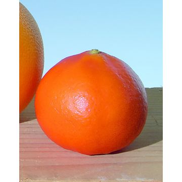 Kunstobst Mandarine MAHINA, orange, 5,5cm, Ø6cm