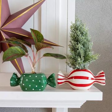 Schlichte Weihnachten, süß verpackt