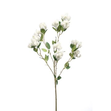Kunstzweig Pappel CALP mit Blüten, creme, 65cm