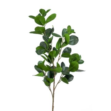 Kunstzweig Ficus Panda BANDE, grün, 90cm