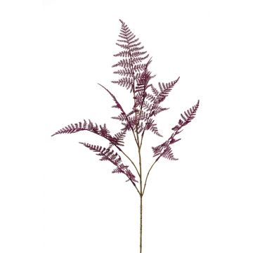 Kunstzweig Asparagus plumosus ERVIN, violett, 85cm