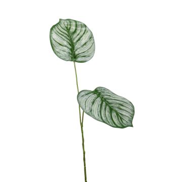 Kunstzweig Calathea Orbifolia TAMARIU, grün-weiß, 50cm