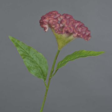 Blume künstlich Hahnenkamm ANUBIS, pink, 60cm, Ø14cm