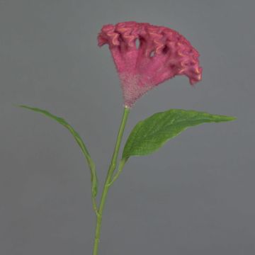Blume künstlich Hahnenkamm ANUBIS, violett, 60cm, Ø14cm