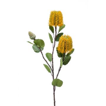 Kunstblume Banksia robur CONAKIR, gelb, 70cm