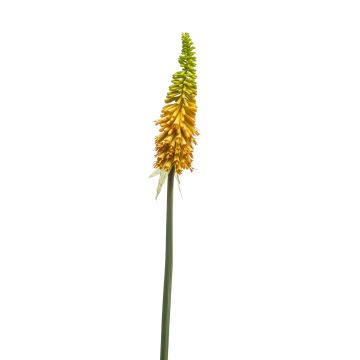 Künstliche Fackellilie MUNDAKA, gelb, 85cm, Ø6cm