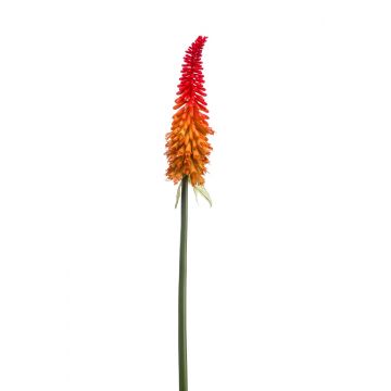 Künstliche Fackellilie MUNDAKA, rot-orange, 85cm, Ø6cm