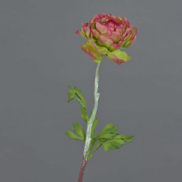 Künstliche Ranunkel ELORIO, pink-grün, 50cm, Ø10cm