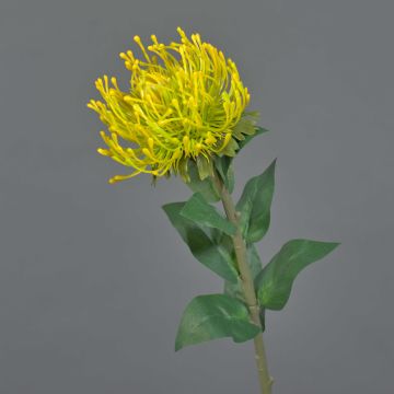 Kunstblume Nadelkissen Protea HERVAS, gelb, 70cm, Ø12cm