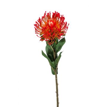 Kunstblume Nadelkissen Protea HERVAS, rot, 70cm