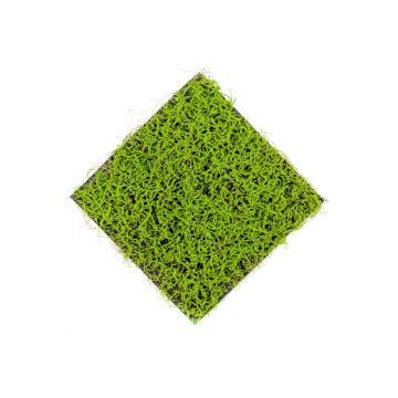 Kunst Liebeslocken Gras Matte NOGALES, grün, 50x50cm