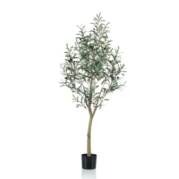 Kunst Olivenbaum CLAYTON, Kunststamm, mit Früchten, 140cm