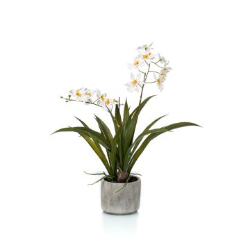 Kunst Oncidium Orchidee COLUNGA im Keramiktopf, weiß, 45cm