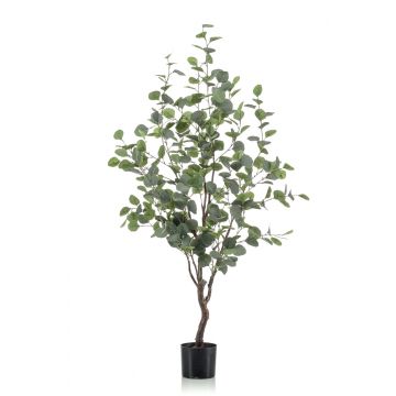 Kunst Eukalyptus Baum ANUHEA, Kunststamm, grün-grau, 120cm