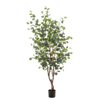 Kunst Eukalyptus Baum ANUHEA, Kunststamm, grün-grau, 140cm