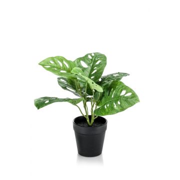 Kunst Philodendron Monstera Deliciosa PUYA, 30cm