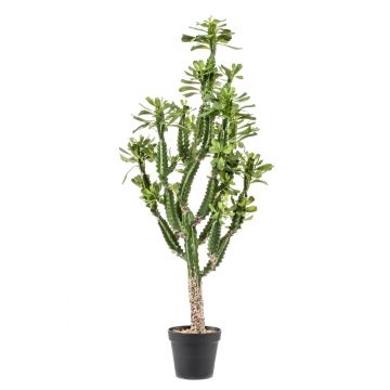 Kunststoff Euphorbia trigona KIROS, grün, 140cm