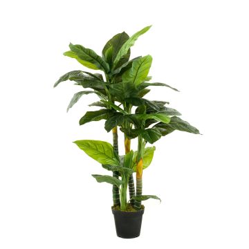 Kunstpflanze Spathiphyllum SIERO, grün, 160cm