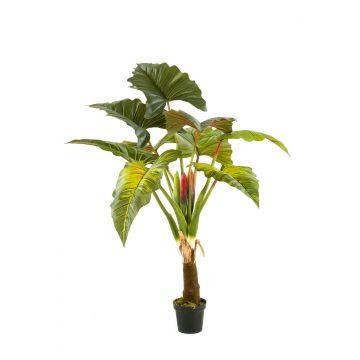 Künstliche Colocasia SOTU, grün, 160cm