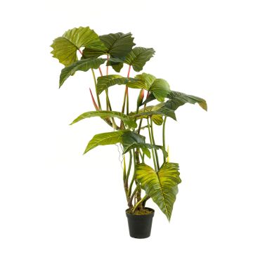 Künstliche Colocasia SOTU, grün, 175cm