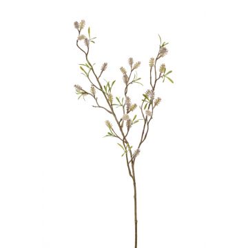 Deko Kätzchenweide Zweig URDIAL mit Blüten, grau, 85cm