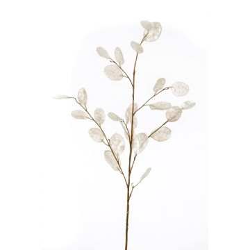 Künstlicher Lunaria Zweig BUELNA, creme, 105cm