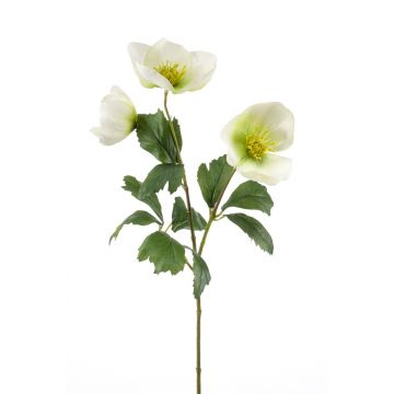 Künstliche Christrose MERUEL, weiß-grün, 45cm