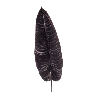 Künstliches Colocasia Blatt ABANTO, schwarz, 105cm