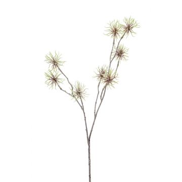 Kunstzweig Zaubernuss ARDISA mit Blüten, gefroren, grün, 70cm