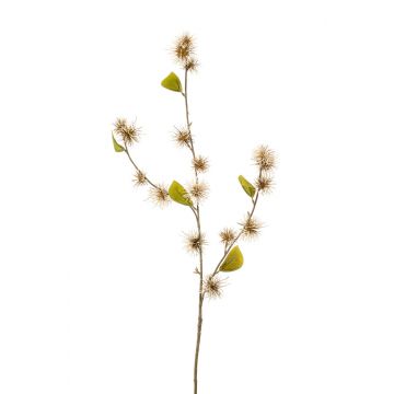 Dekozweig Zaubernuss CETINA mit Blüten, beige, 100cm