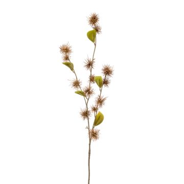 Dekozweig Zaubernuss CETINA mit Blüten, braun, 100cm