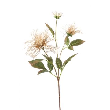 Kunstblume Kaktusdahlie ZUERA, beige, 65cm, Ø6-16cm