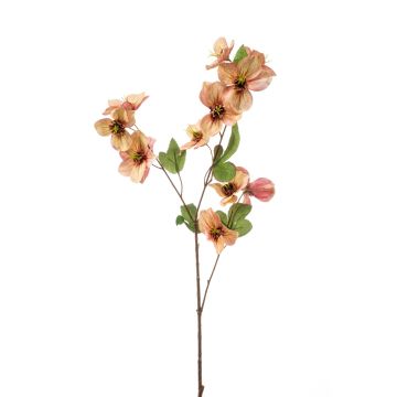 Künstliche Christrose BELVER, orange-pink, 70cm