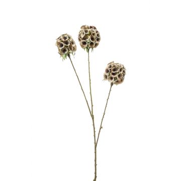 Kunstblume Stern Scabiosa BRETA, grün-beige, 70cm, Ø5-7cm
