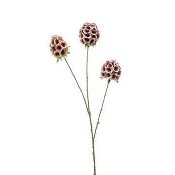 Kunstblume Stern Scabiosa BRETA, lila-beige, 70cm, Ø5-7cm